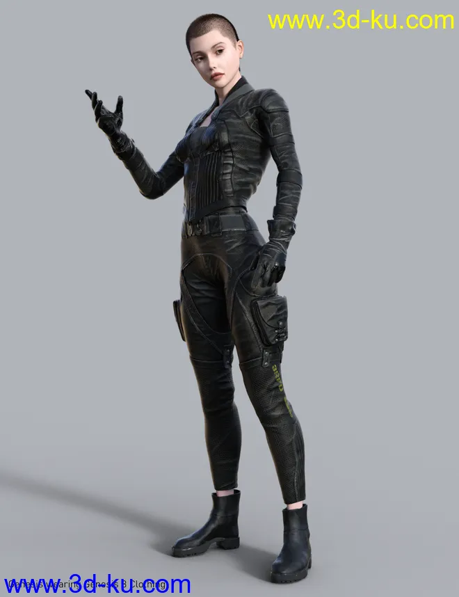 Genesis Clones for Genesis 8 and 8.1 and Vice Versa模型的图片2