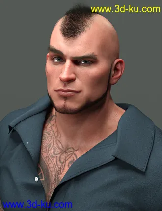 3D打印模型Gl'Amour Ring Lighting for Iray的图片