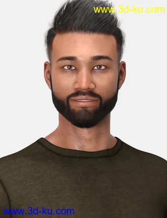 3D打印模型Gl'Amour Ring Lighting for Iray的图片