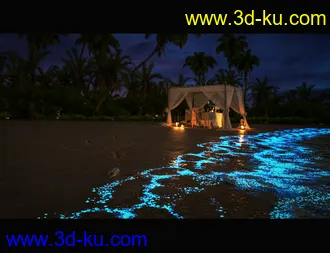 3D打印模型Glowing Beach的图片