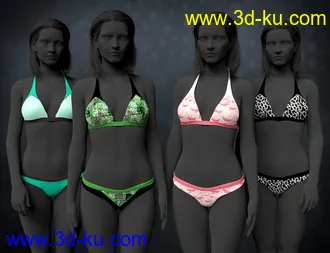 3D打印模型Hannelore Bikini Outfit Textures的图片