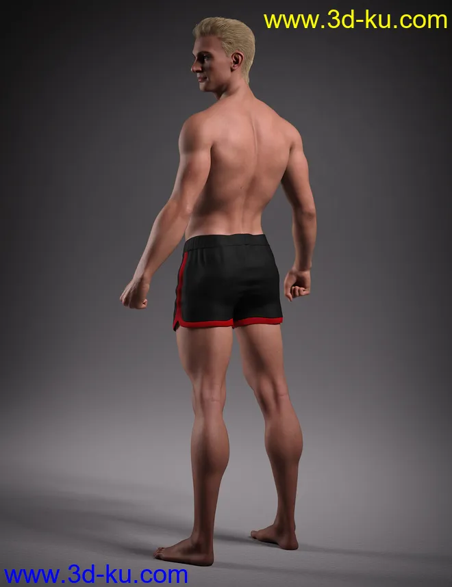 Hans 8.1模型的图片2