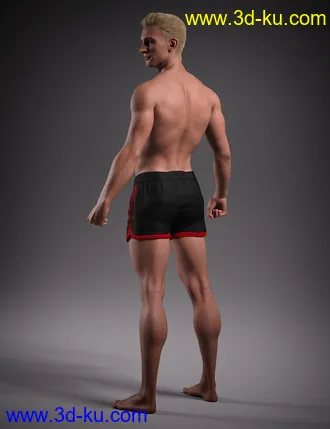 3D打印模型Hans 8.1的图片