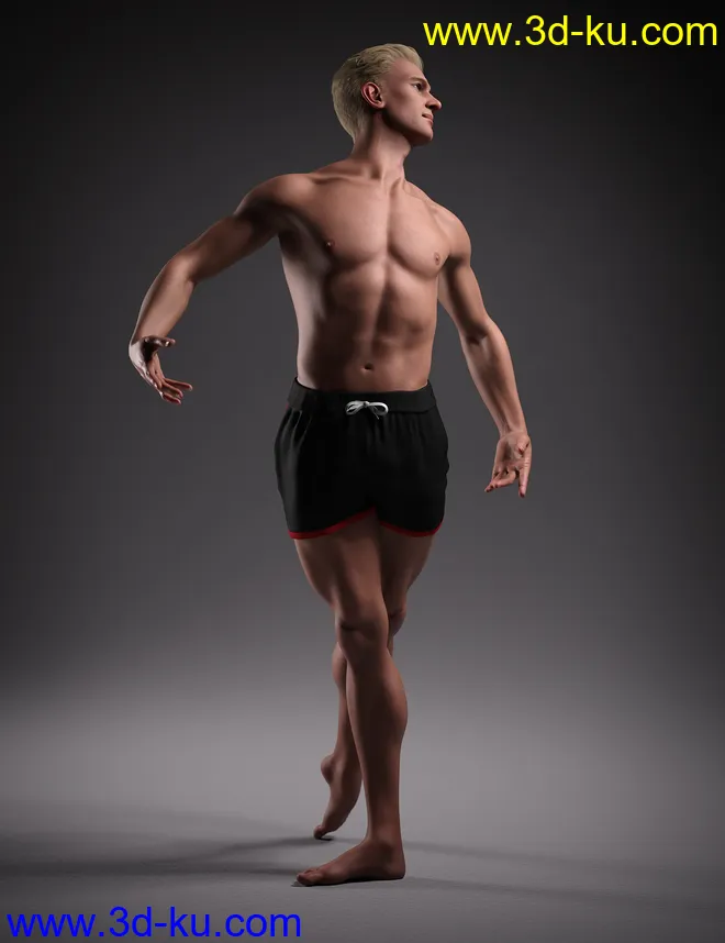 Hans 8.1模型的图片4