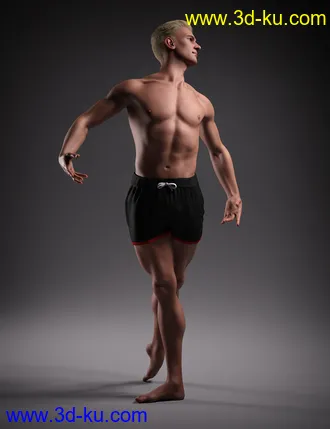 3D打印模型Hans 8.1的图片