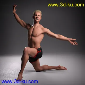 3D打印模型Hans 8.1的图片