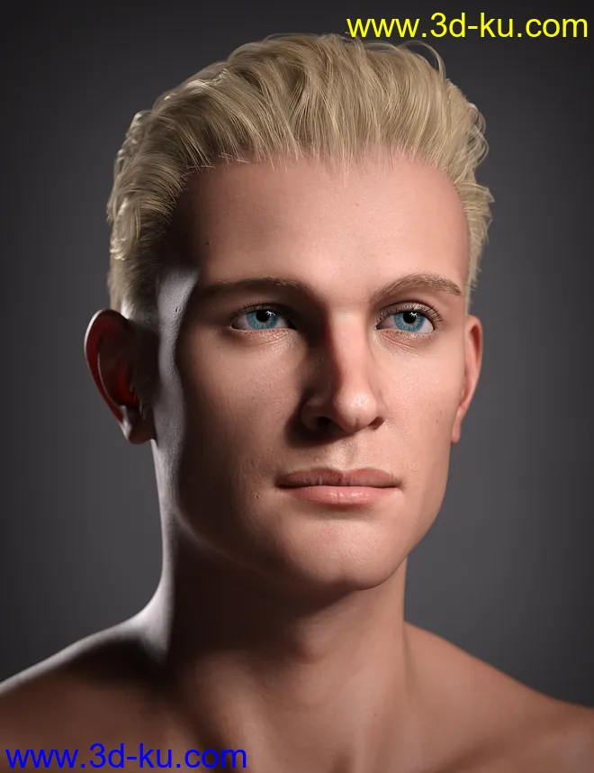 Hans 8.1模型的图片6