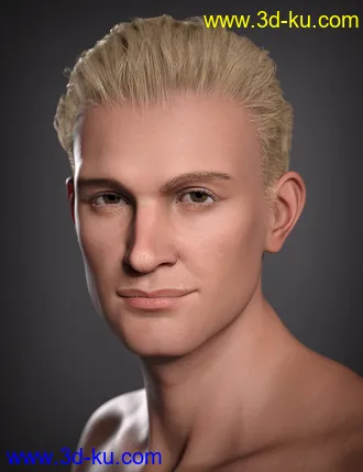 3D打印模型Hans 8.1的图片