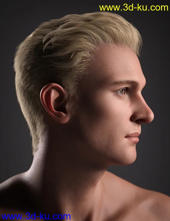 Hans 8.1模型的图片8