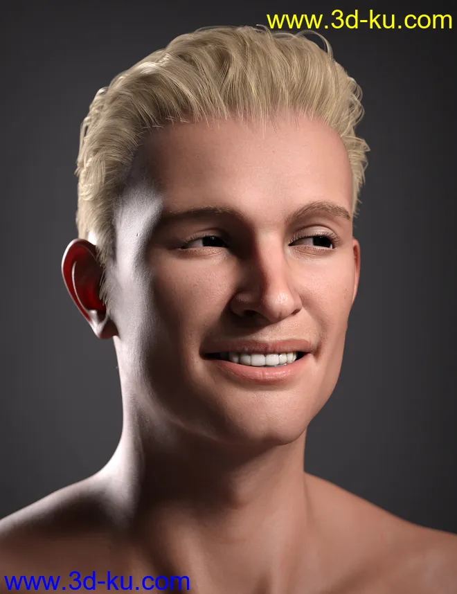 Hans 8.1模型的图片9