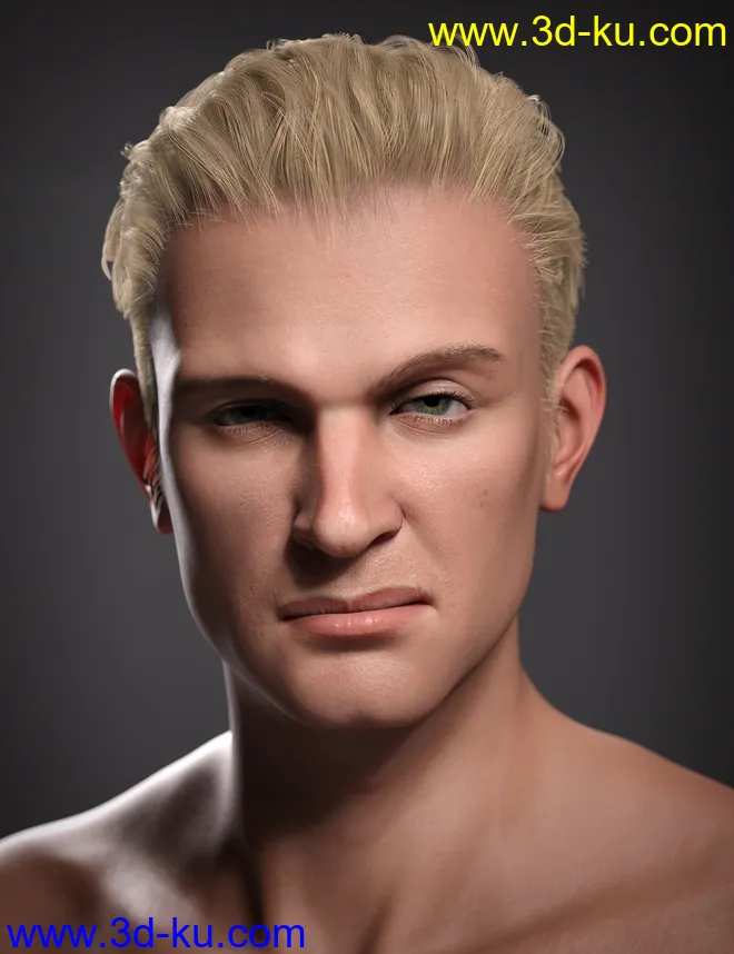 Hans 8.1模型的图片10