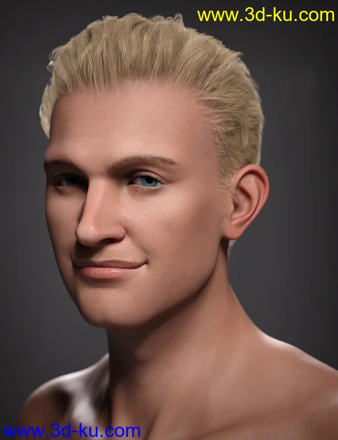 Hans 8.1模型的图片11