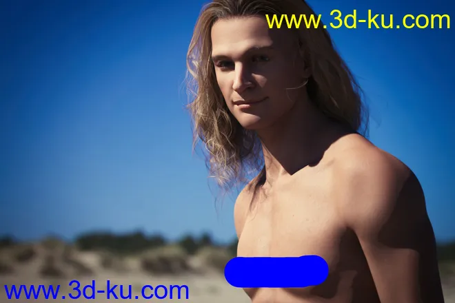 Hans 8.1模型的图片12