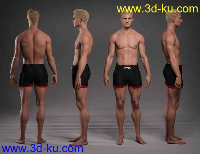 Hans 8.1模型的图片13