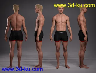 3D打印模型Hans 8.1的图片