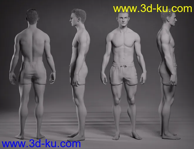 Hans 8.1模型的图片14