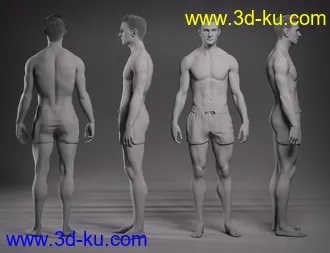 3D打印模型Hans 8.1的图片