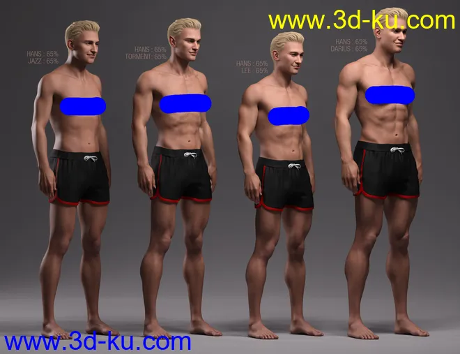 Hans 8.1模型的图片15