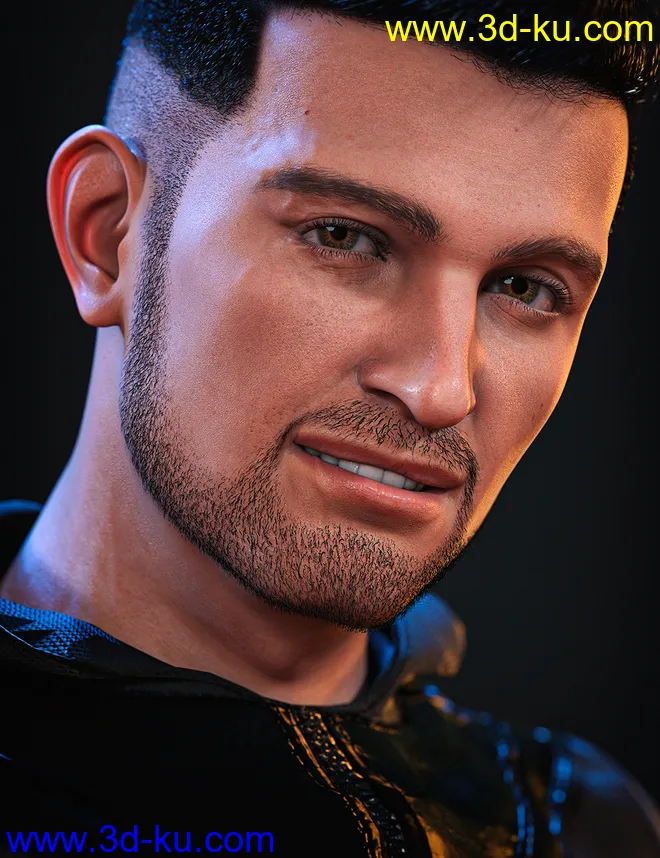 Hans 8.1模型的图片17