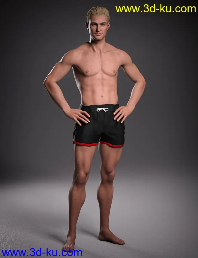 Hans 8.1模型的图片28