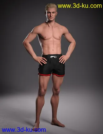 3D打印模型Hans 8.1的图片