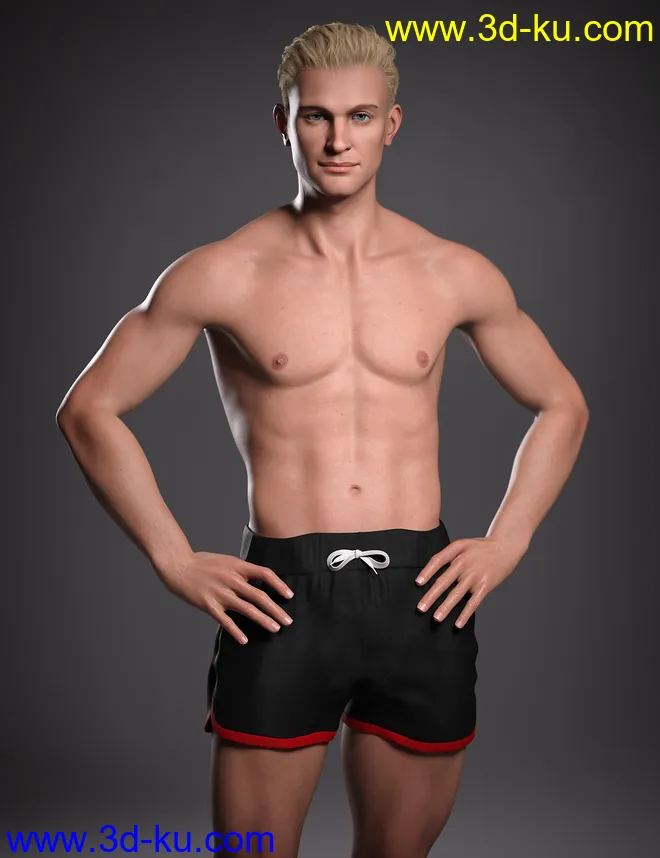 Hans 8.1模型的图片29