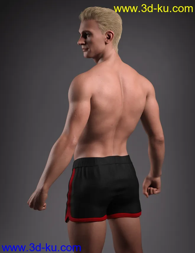 Hans 8.1模型的图片30