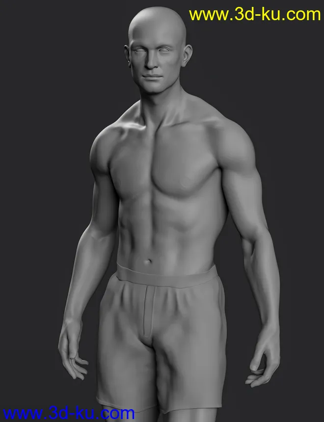 Hans 8.1 HD Add-On模型的图片1