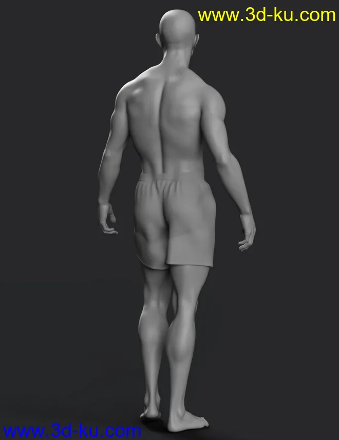 Hans 8.1 HD Add-On模型的图片2