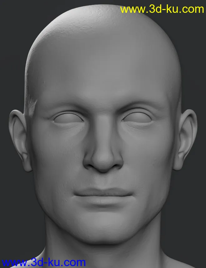 Hans 8.1 HD Add-On模型的图片3