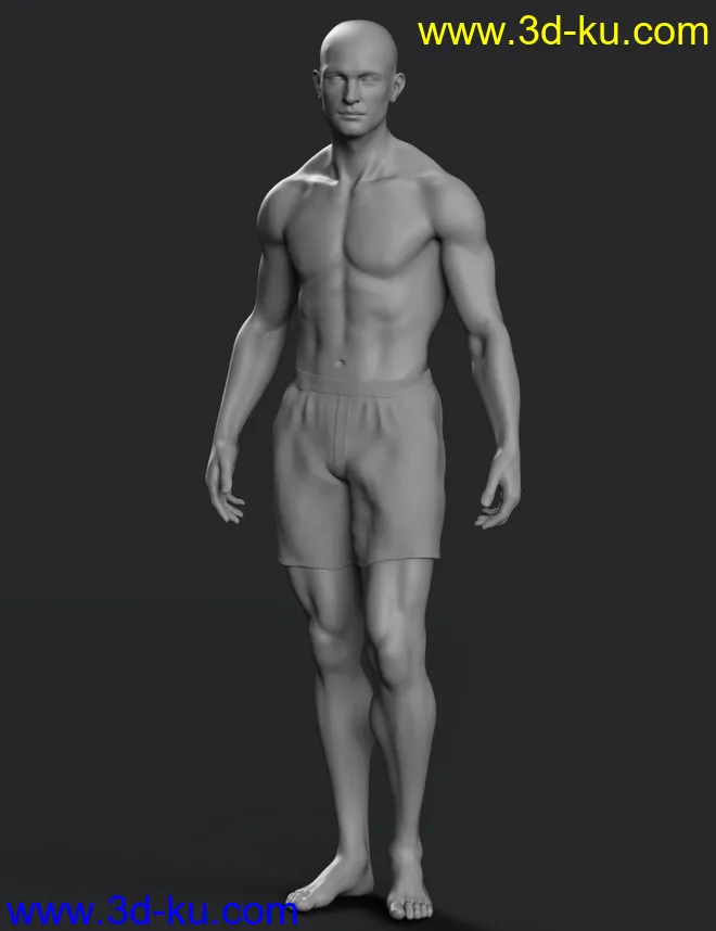 Hans 8.1 HD Add-On模型的图片10