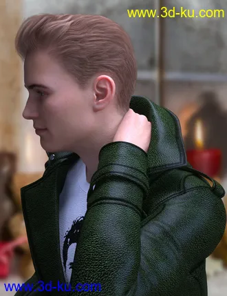 3D打印模型Hudson Hair for Genesis 8 Males的图片