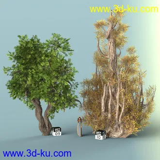 3D打印模型Hybrid Celtic Trees的图片