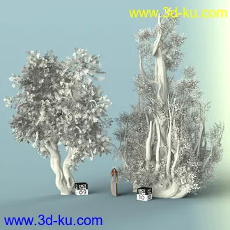 3D打印模型Hybrid Celtic Trees的图片