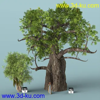 3D打印模型Hybrid Celtic Trees的图片