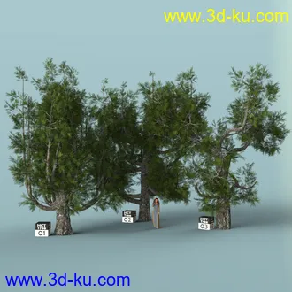 3D打印模型Hybrid Celtic Trees的图片