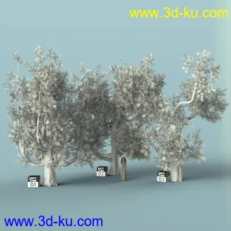 3D打印模型Hybrid Celtic Trees的图片