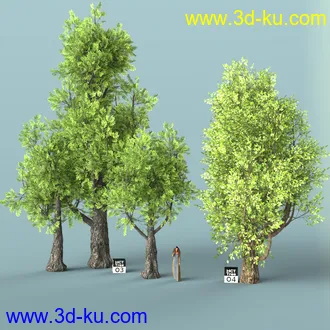 3D打印模型Hybrid Celtic Trees的图片