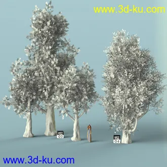 3D打印模型Hybrid Celtic Trees的图片