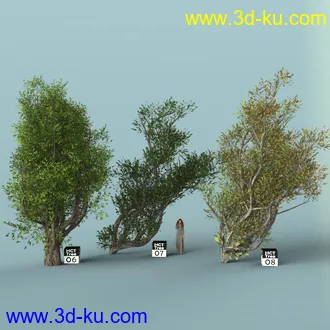 3D打印模型Hybrid Celtic Trees的图片