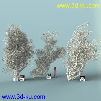 3D打印模型Hybrid Celtic Trees的图片