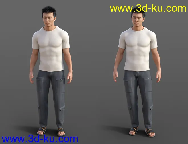 Idle 1 Animations for Genesis 8模型的图片3