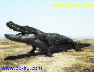 3D打印模型Iray Alligator by AM的图片