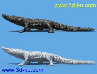 3D打印模型Iray Alligator by AM的图片