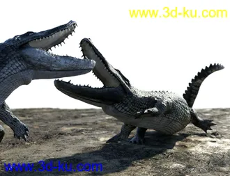 3D打印模型Iray Alligator by AM的图片