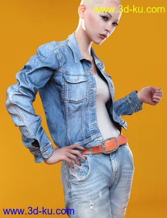 3D打印模型Jeans Jacket Mayhem的图片
