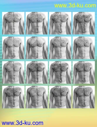3D打印模型Jepe's Body Hair Project 8.1的图片