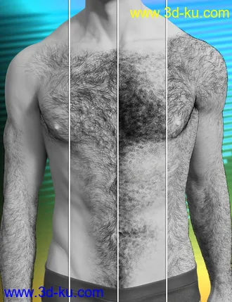 3D打印模型Jepe's Body Hair Project 8.1的图片
