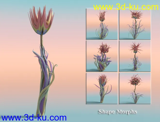 Jepe's WonderPlantZ2模型的图片3