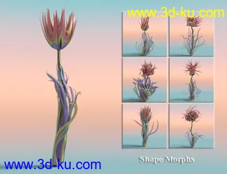 3D打印模型Jepe's WonderPlantZ2的图片